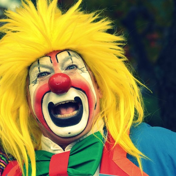 Meet your Posher, Freddy - Picture 4 of 8